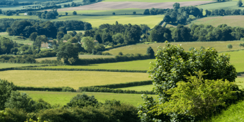 louth manby countryside